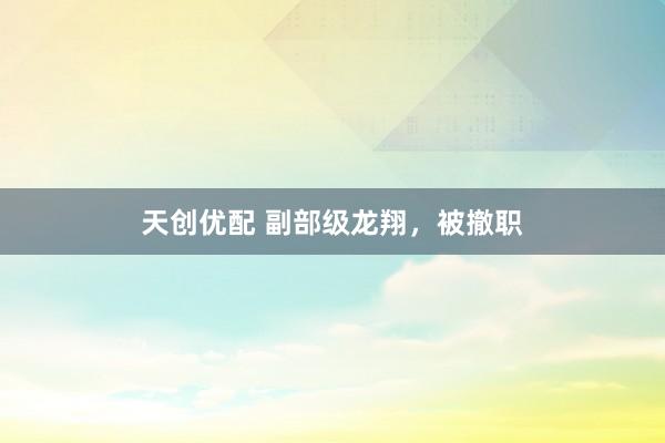 天创优配 副部级龙翔，被撤职