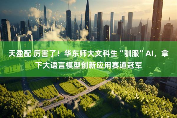 天盈配 厉害了！华东师大文科生“驯服”AI，拿下大语言模型创新应用赛道冠军