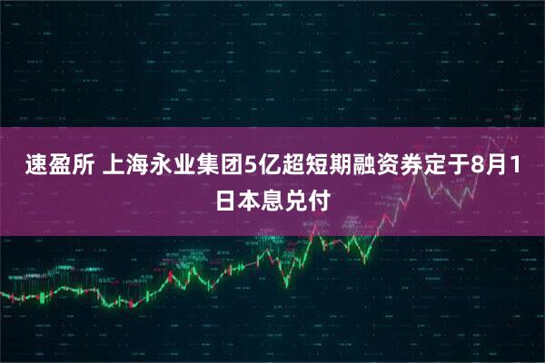 速盈所 上海永业集团5亿超短期融资券定于8月1日本息兑付